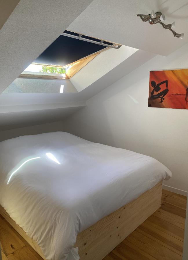 T3 Duplex6 Hyper-Centre Climatise Daire Albi Dış mekan fotoğraf